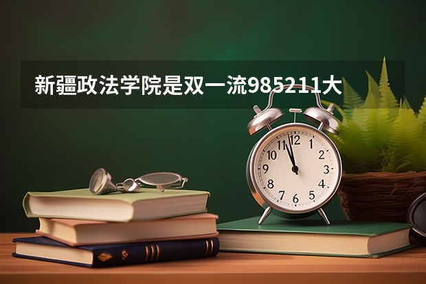 新疆政法学院是双一流/985/211大学吗（历年分数线）