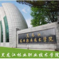 电玩城app官网下载
