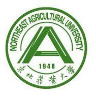 电玩城app官网下载