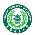 电玩城app官网下载