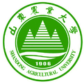 电玩城app官网下载