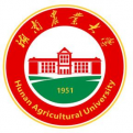 电玩城app官网下载