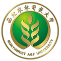 电玩城app官网下载