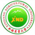 电玩城app官网下载