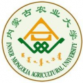 电玩城app官网下载