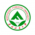电玩城app官网下载