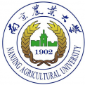 电玩城app官网下载